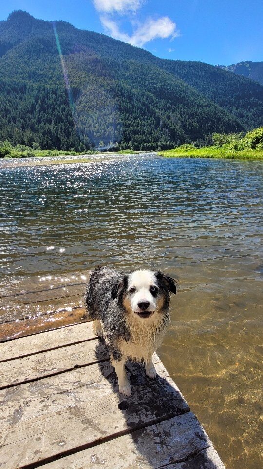 Instagram post from thehiddeneh. This post is in position 0.